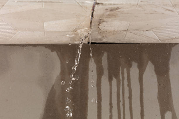 Professional Burst Pipe Cleanup technician working in Bladensburg, MD
